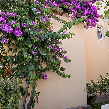 Appartement Angela Budva